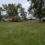 Dangerous tree had to go. Thank you K. for keeping us safe ;-)